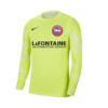 Picture of Nike Park IV Long Sleeve Goalkeeper Jersey in Volt