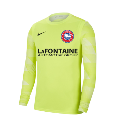Picture of Nike Park IV Long Sleeve Goalkeeper Jersey in Volt