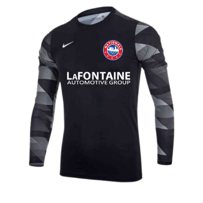 Picture of Nike Park IV Long Sleeve Goalkeeper Jersey in Black