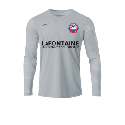 Picture of Nike Park IV Long Sleeve Goalkeeper Jersey in Grey