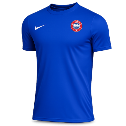Picture of NIKE PARK VIII JERSEY  ROYAL