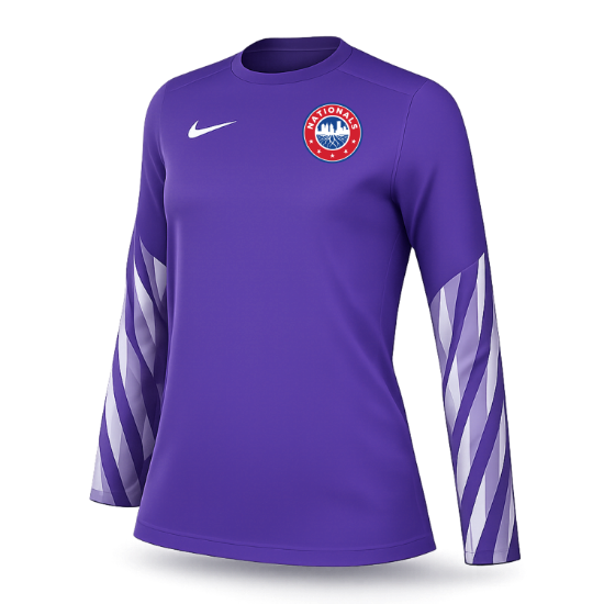 Picture of NIKE PARK V GOALKEEPER JERSEY PURPLE