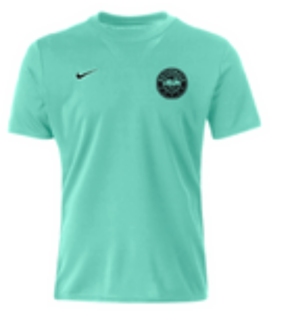 Picture of NIKE US SS PARK VII JERSEY IN MINT