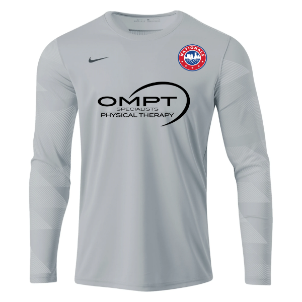 Picture of Nike Park IV Long Sleeve Goalkeeper Jersey in Grey